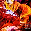Two Lions Dance Photograph by Az Jackson Two Lions Dance Photograph by Az Jackson