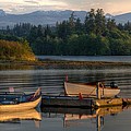 Sunset Tyee Boats by Kathy Paynter