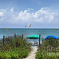 Umbrella Heaven Photograph by Kathy Baccari Umbrella Heaven Photograph by Kathy Baccari