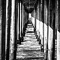 Under Huntington Beach Pier Black and White Picture by Paul Velgos Under Huntington Beach Pier Black and White Picture by Paul Velgos