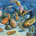 Underwater Life During The Paleozoic Photograph by Publiphoto Underwater Life During The Paleozoic Photograph by Publiphoto