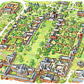 University of Virginia Academical Village Painting by Maria Rabinky University of Virginia Academical Village Painting by Maria Rabinky