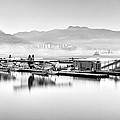Vancouver Mist Photograph by Alexis Birkill