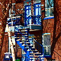Verdun Duplex Stairs With Birch Tree Montreal Winding Staircases Winter City Scene Carole Spandau by Carole Spandau Verdun Duplex Stairs With Birch Tree Montreal Winding Staircases Winter City Scene Carole Spandau by Carole Spandau