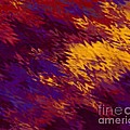 Violet Reflections by David K Small