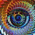 Visionary Photograph by Gwyn Newcombe Visionary Photograph by Gwyn Newcombe
