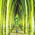 Visiting Emerald City by Mo T Visiting Emerald City by Mo T
