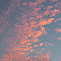 Waikiki Sunset Sky by Michele Myers
