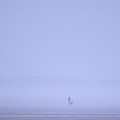 Walking the dog in the mist Photograph by Spikey Mouse Photography Walking the dog in the mist Photograph by Spikey Mouse Photography