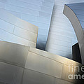 Walt Disney Concert Hall 1 by Bob Christopher Walt Disney Concert Hall 1 by Bob Christopher