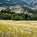 Washake Wilderness by Kathy McClure Washake Wilderness by Kathy McClure