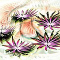 Water Lilies by Anastasiya Malakhova Water Lilies by Anastasiya Malakhova
