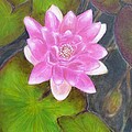 Water Lily Painting by Amelie Simmons Water Lily Painting by Amelie Simmons