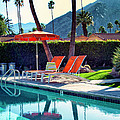 WATER WAITING Palm Springs Photograph by William Dey WATER WAITING Palm Springs Photograph by William Dey