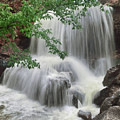 Waterfall Tanyard Creek Bella Vista Photograph by Tim Fitzharris Waterfall Tanyard Creek Bella Vista Photograph by Tim Fitzharris
