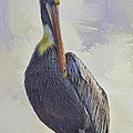 Waterway Pelican by Deborah Benoit Waterway Pelican by Deborah Benoit