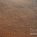 Wave Art Photograph by Jackie Farnsworth Wave Art Photograph by Jackie Farnsworth