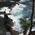 Wave Breaker Photograph by Jackie Farnsworth Wave Breaker Photograph by Jackie Farnsworth