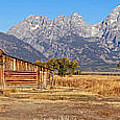 Weathered to Perfection Photograph by Leda Robertson