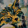 Weeeeeee Sleepee by Paul Lovering Weeeeeee Sleepee by Paul Lovering