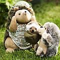 Welcome Brother Photograph by Spikey Mouse Photography Welcome Brother Photograph by Spikey Mouse Photography