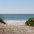 Welcome to the Beach Photograph by Carol Groenen Welcome to the Beach Photograph by Carol Groenen