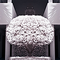 Welcome Tree Infrared by Adam Romanowicz Welcome Tree Infrared by Adam Romanowicz