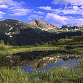 West Needle Mountains Weminuche Photograph by Tim Fitzharris West Needle Mountains Weminuche Photograph by Tim Fitzharris