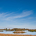 Wetland at the Refuge Photograph by Jeff Goulden Wetland at the Refuge Photograph by Jeff Goulden