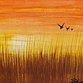Wheatfield at Sunset by Darren Robinson