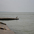 Solitude on Lake Erie Photograph by Valerie Collins Solitude on Lake Erie Photograph by Valerie Collins