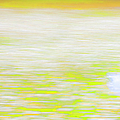 Wherever She Ran Photograph by Theresa Tahara Wherever She Ran Photograph by Theresa Tahara