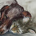 Whisker To Whisker by Cori Solomon Whisker To Whisker by Cori Solomon