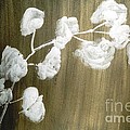 White Orchid Painting by Fereshteh Stoecklein White Orchid Painting by Fereshteh Stoecklein