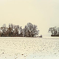 White Out in Medford Photograph by Louis Dallara
