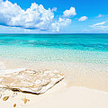 White Sand Photograph by Chad Dutson White Sand Photograph by Chad Dutson