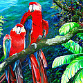 Who Me by Karin Dawn Kelshall- Best Who Me by Karin Dawn Kelshall- Best