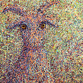 Wild Goat by James W Johnson Wild Goat by James W Johnson