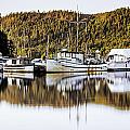 Wilderness Fishing Boats Photograph by Tony Locke