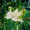 Williamsburg Magnolia Painting by Suzanne Berthier Williamsburg Magnolia Painting by Suzanne Berthier