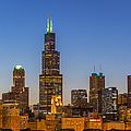 Willis Tower Photograph by Sebastian Musial Willis Tower Photograph by Sebastian Musial