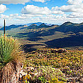 Wilpena Pound Photograph by Bill Robinson Wilpena Pound Photograph by Bill Robinson