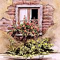 Window Flowers by Sam Sidders Window Flowers by Sam Sidders