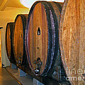 Wine Vats by Tim Holt Wine Vats by Tim Holt