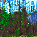 Winter Awaits Spring by Seth Weaver Winter Awaits Spring by Seth Weaver