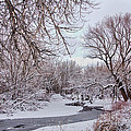 Winter Creek Photograph by James BO Insogna Winter Creek Photograph by James BO Insogna