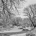 Winter Creek in Black and White Photograph by James BO Insogna Winter Creek in Black and White Photograph by James BO Insogna