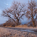 Winter Dawn Moon and Tree Landscape Photograph by Cascade Colors Winter Dawn Moon and Tree Landscape Photograph by Cascade Colors