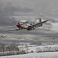 Winter Freedom Digital Art by Pat Speirs Winter Freedom Digital Art by Pat Speirs