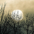 Winter Into Spring Photograph by Bob Orsillo Winter Into Spring Photograph by Bob Orsillo